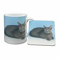 Silver Grey Thai Korat Cat Mug and Coaster Set