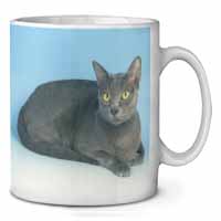 Silver Grey Thai Korat Cat Ceramic 10oz Coffee Mug/Tea Cup