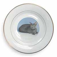 Silver Grey Thai Korat Cat Gold Rim Plate Printed Full Colour in Gift Box
