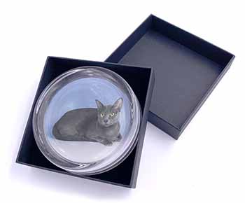 Silver Grey Thai Korat Cat Glass Paperweight in Gift Box