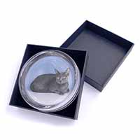 Silver Grey Thai Korat Cat Glass Paperweight in Gift Box