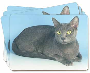 Silver Grey Thai Korat Cat Picture Placemats in Gift Box