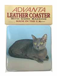 Silver Grey Thai Korat Cat Single Leather Photo Coaster