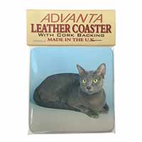 Silver Grey Thai Korat Cat Single Leather Photo Coaster