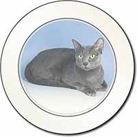 Silver Grey Thai Korat Cat Car or Van Permit Holder/Tax Disc Holder