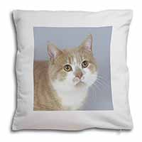 Ginger+White Manx Cat Soft White Velvet Feel Scatter Cushion