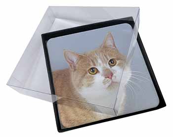 4x Ginger+White Manx Cat Picture Table Coasters Set in Gift Box