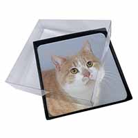 4x Ginger+White Manx Cat Picture Table Coasters Set in Gift Box