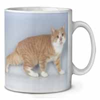 Ginger+White Manx Cat Ceramic 10oz Coffee Mug/Tea Cup