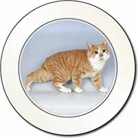 Ginger+White Manx Cat Car or Van Permit Holder/Tax Disc Holder