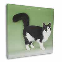 Black+White Norwegian Forest Cat Square Canvas 12"x12" Wall Art Picture Print
