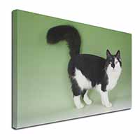Black+White Norwegian Forest Cat Canvas X-Large 30"x20" Wall Art Print