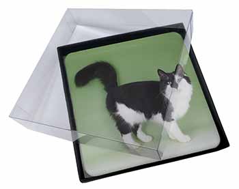 4x Black+White Norwegian Forest Cat Picture Table Coasters Set in Gift Box