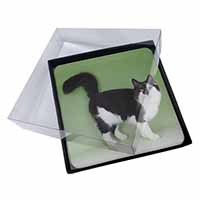 4x Black+White Norwegian Forest Cat Picture Table Coasters Set in Gift Box