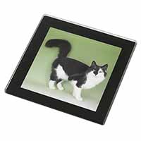 Black+White Norwegian Forest Cat Black Rim High Quality Glass Coaster