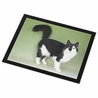 Black+White Norwegian Forest Cat Black Rim High Quality Glass Placemat