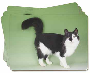 Black+White Norwegian Forest Cat Picture Placemats in Gift Box