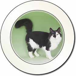 Black+White Norwegian Forest Cat Car or Van Permit Holder/Tax Disc Holder