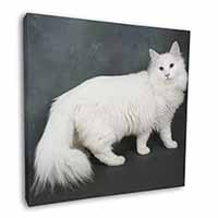 White Norwegian Forest Cat Square Canvas 12"x12" Wall Art Picture Print