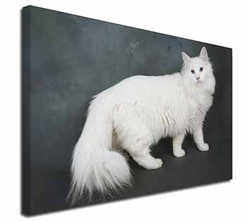 White Norwegian Forest Cat Canvas X-Large 30"x20" Wall Art Print