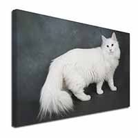 White Norwegian Forest Cat Canvas X-Large 30"x20" Wall Art Print