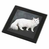 White Norwegian Forest Cat Black Rim High Quality Glass Coaster