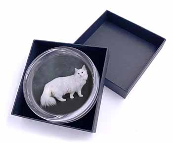White Norwegian Forest Cat Glass Paperweight in Gift Box