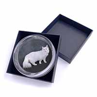 White Norwegian Forest Cat Glass Paperweight in Gift Box
