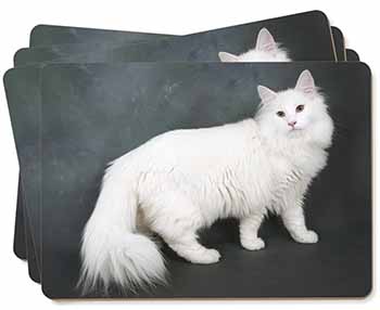 White Norwegian Forest Cat Picture Placemats in Gift Box