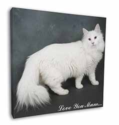 White Cat 