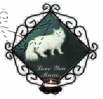 White Cat 