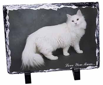 White Cat 