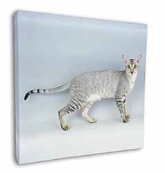 Oriental Black+Silver Cat Square Canvas 12"x12" Wall Art Picture Print