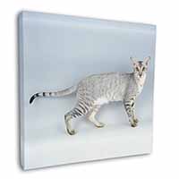 Oriental Black+Silver Cat Square Canvas 12"x12" Wall Art Picture Print