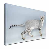 Oriental Black+Silver Cat Canvas X-Large 30"x20" Wall Art Print