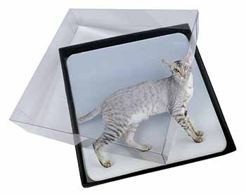 4x Oriental Black+Silver Cat Picture Table Coasters Set in Gift Box