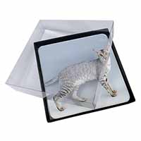 4x Oriental Black+Silver Cat Picture Table Coasters Set in Gift Box