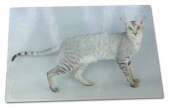 Large Glass Cutting Chopping Board Oriental Black+Silver Cat