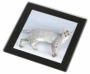 Oriental Black+Silver Cat Black Rim High Quality Glass Coaster