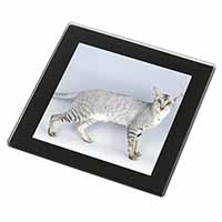 Oriental Black+Silver Cat Black Rim High Quality Glass Coaster