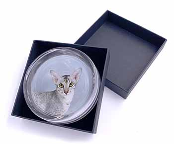Oriental Black+Silver Cat Glass Paperweight in Gift Box