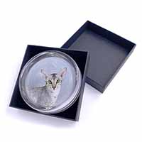 Oriental Black+Silver Cat Glass Paperweight in Gift Box