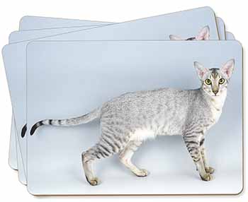 Oriental Black+Silver Cat Picture Placemats in Gift Box