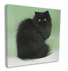 Black Persian Cat Square Canvas 12"x12" Wall Art Picture Print