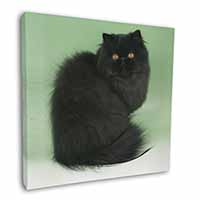 Black Persian Cat Square Canvas 12"x12" Wall Art Picture Print