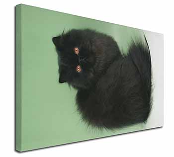 Black Persian Cat Canvas X-Large 30"x20" Wall Art Print
