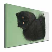 Black Persian Cat Canvas X-Large 30"x20" Wall Art Print