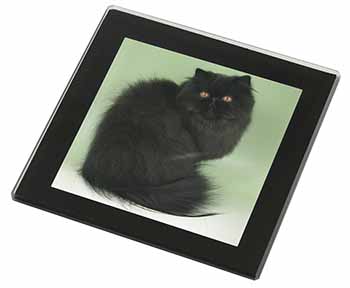 Black Persian Cat Black Rim High Quality Glass Coaster