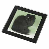 Black Persian Cat Black Rim High Quality Glass Coaster