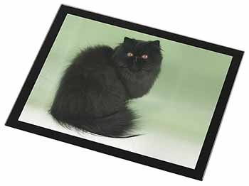 Black Persian Cat Black Rim High Quality Glass Placemat